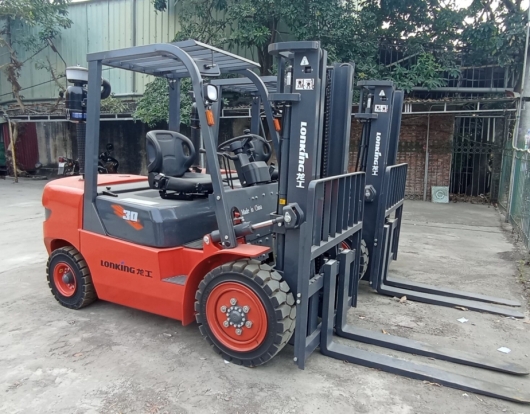 Xe nâng 3 tấn FD30T